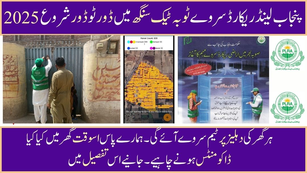 Punjab Land Record Survey