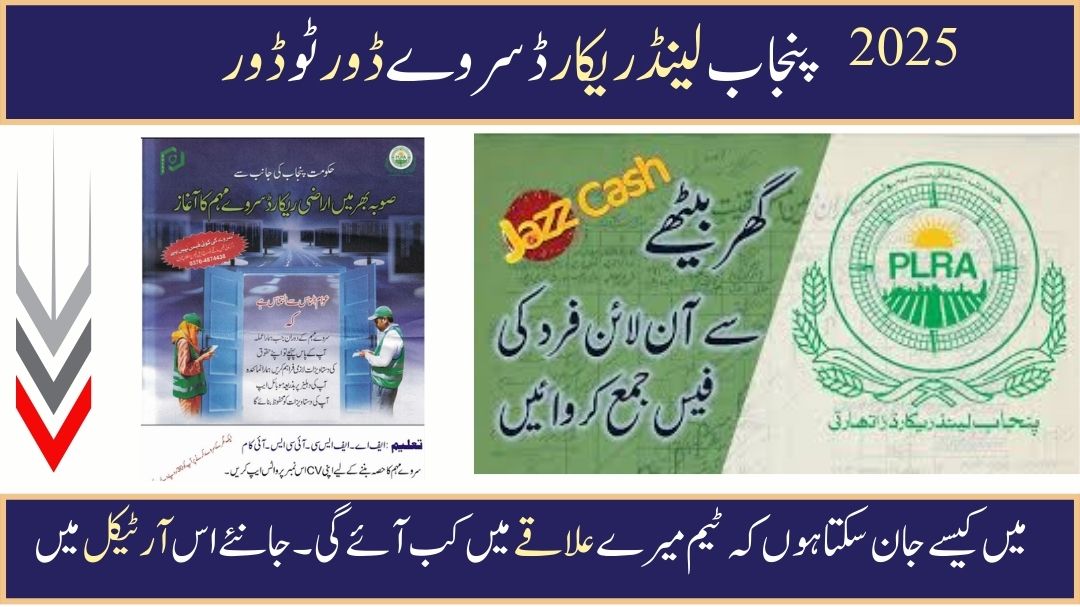 Punjab Land Record Survey