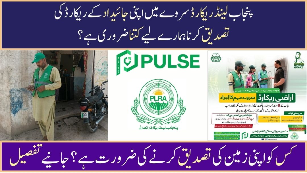 Punjab Land Survey