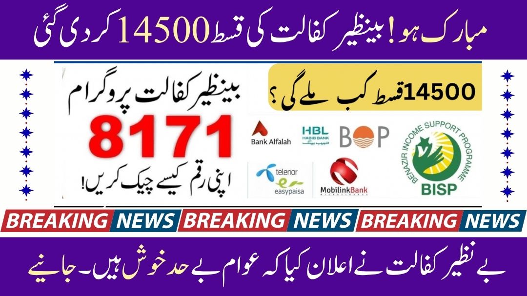 BISP 8171 Payment