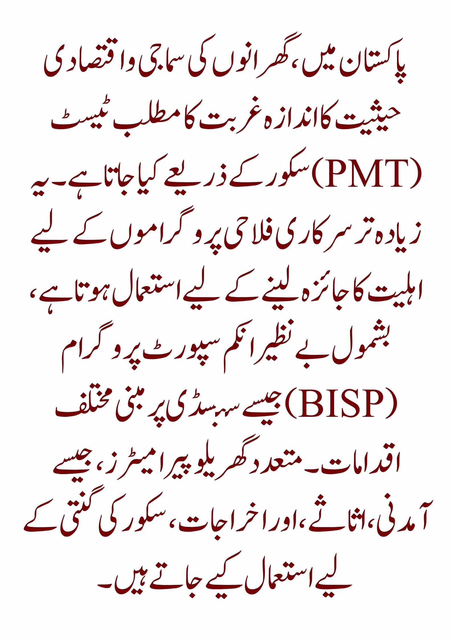 BISP PMT Portal 2025