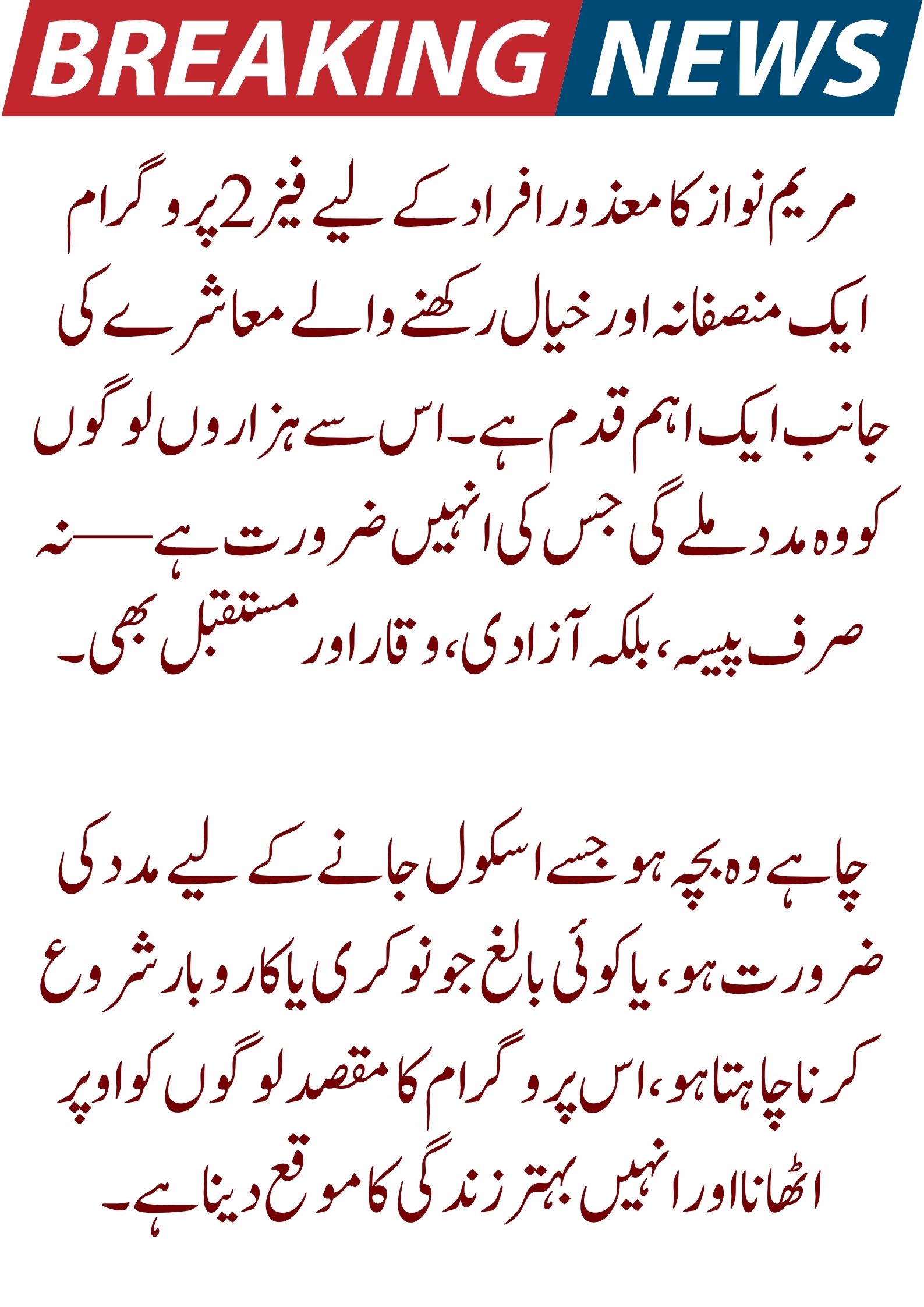 Disabled People in Punjab 2025