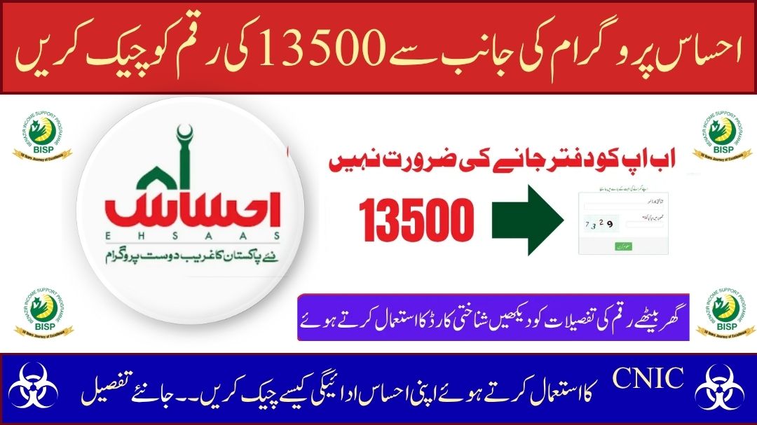 8171 Ehsaas Program 2025 Verify CNIC and Check Online Payment Using NADRA